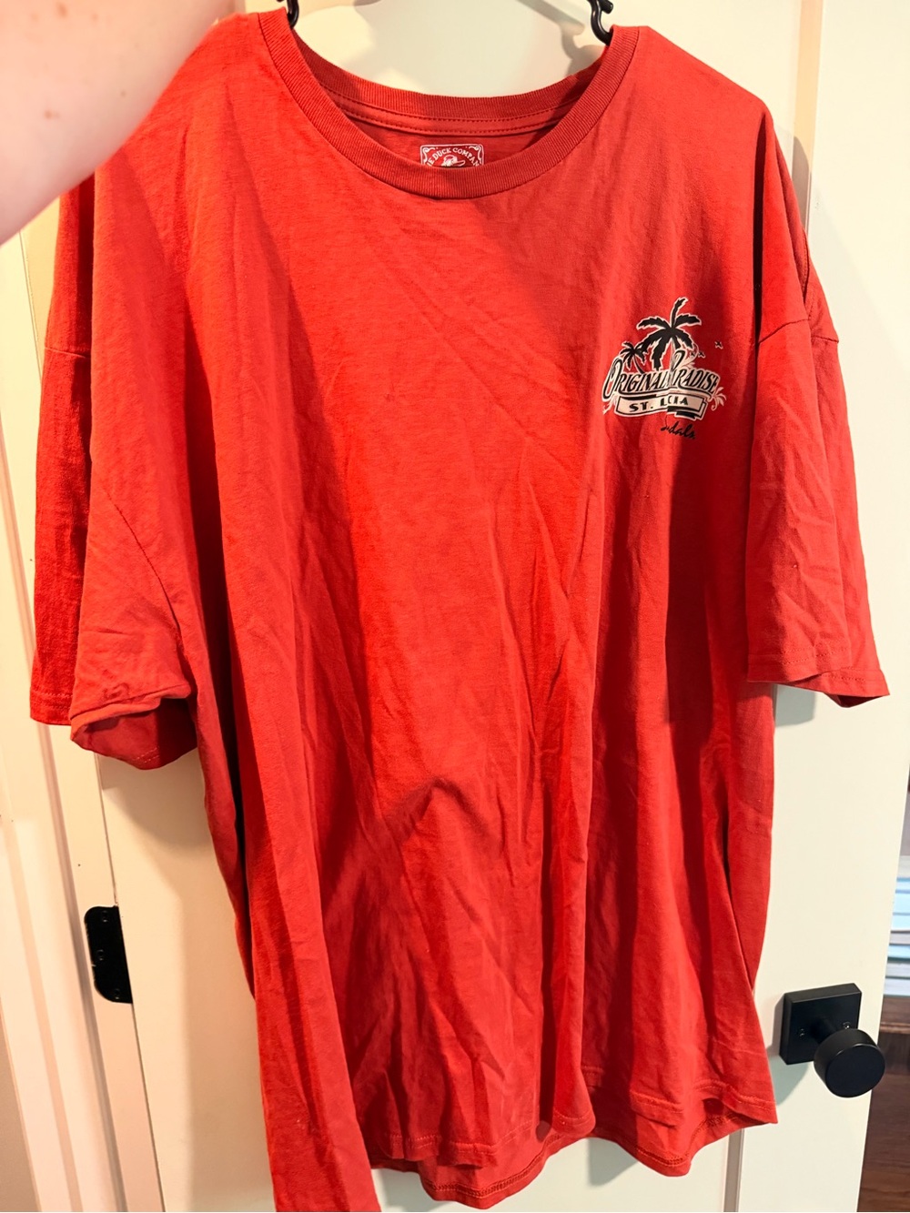 Red Tropical Palm Graphic Men’s T-Shirt